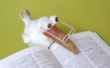 Jakie języki są najpopularniejsze?