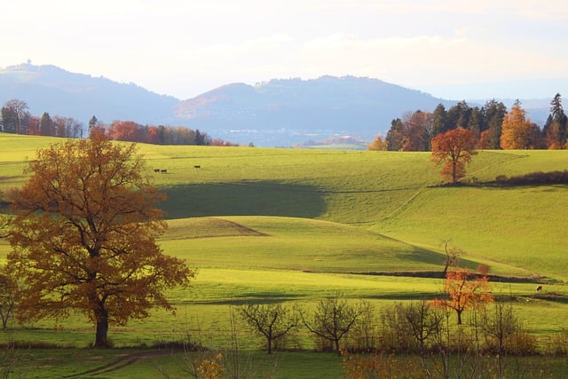 Ile to 12 tys brutto? Ile to 12 tys brutto?