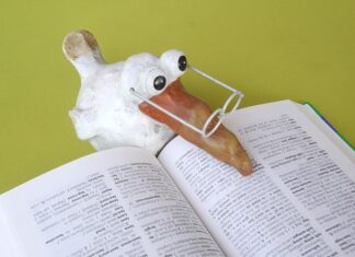 Gdzie można pracować znając języki? Gdzie można pracować znając języki?
