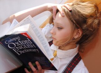 Czy można uczyć języka bez studiów? Czy można uczyć języka bez studiów?