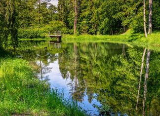 Co wpływa na przyciągnięcie inwestorów do Polski? Co wpływa na przyciągnięcie inwestorów do Polski?