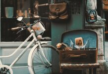 Jak prowadzić sklep internetowy? Jak prowadzić sklep internetowy?