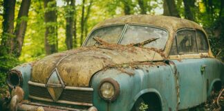 Czy Lecytyna jest dobra na pamięć?