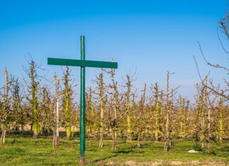 Czy sklep internetowy musi mieć regulamin? Czy sklep internetowy musi mieć regulamin?