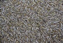 Co jest produkowane masowo? Co jest produkowane masowo?