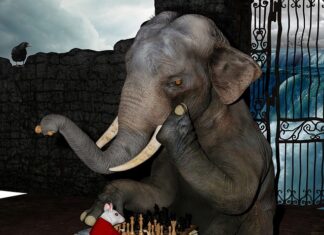 Dlaczego nie mogę się skupić? Dlaczego nie mogę się skupić?