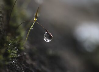 Jak pomóc dziecku w skupieniu uwagi? Jak pomóc dziecku w skupieniu uwagi?
