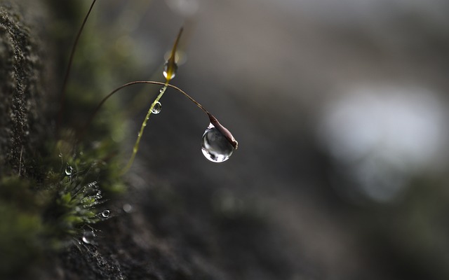 Jak pomóc dziecku w skupieniu uwagi? Jak pomóc dziecku w skupieniu uwagi?