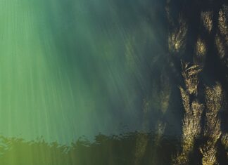 Jaki jest poziom nauczania w USA? Jaki jest poziom nauczania w USA?