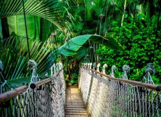 Co daje kurs kwalifikacyjny? Co daje kurs kwalifikacyjny?