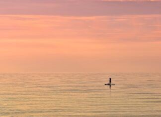 Jakie są trendy w marketingu? Jakie są trendy w marketingu?